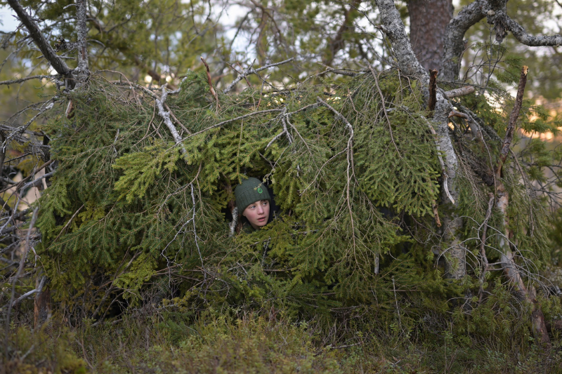 Whispers in the Woods (2025)