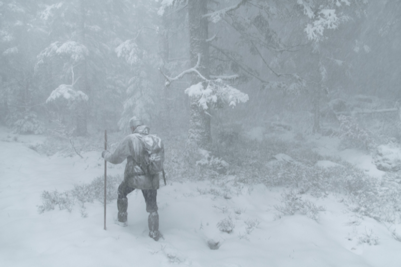 Whispers in the Woods (2025)