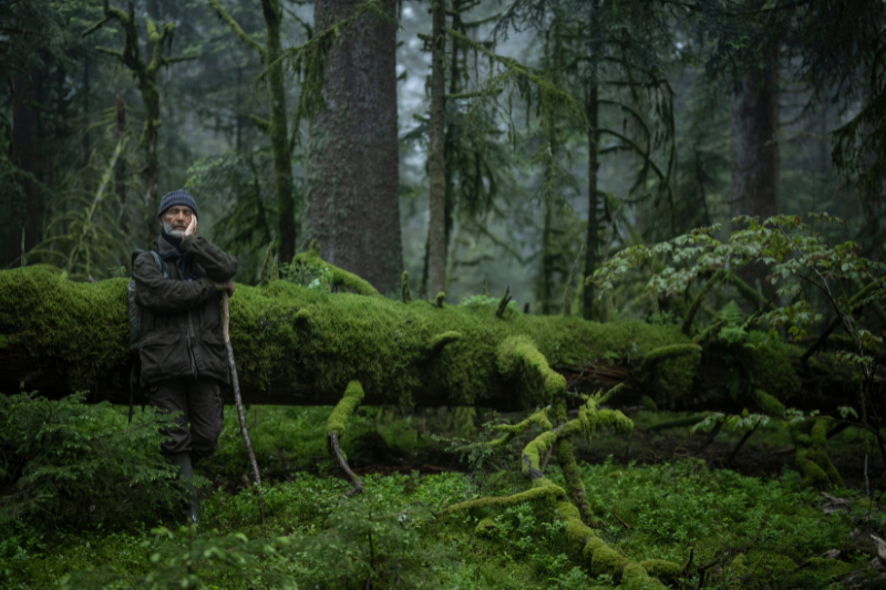 Whispers in the Woods (2025)